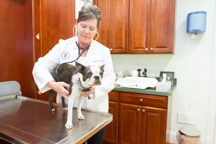 Family Veterinary Clinic Picture 5