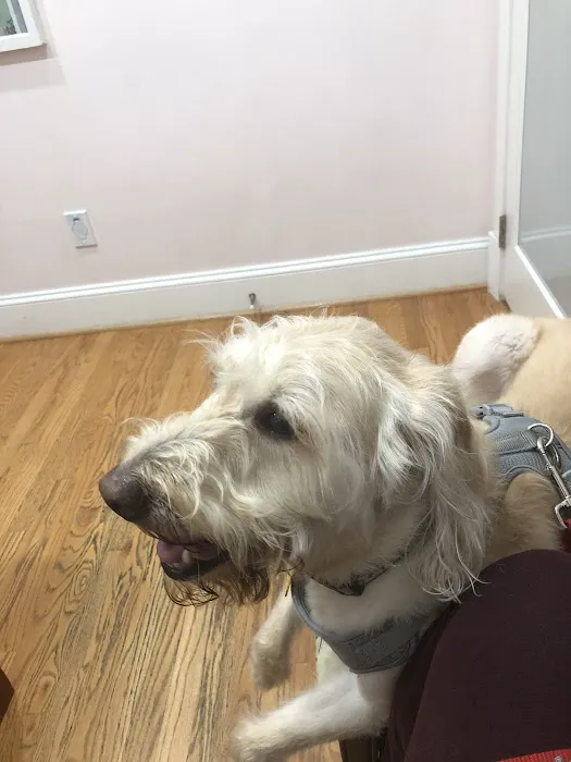 Family Veterinary Clinic Picture 8