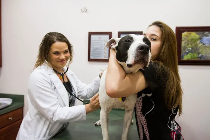Family Veterinary Clinic Picture 10