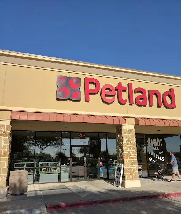 Petland Frisco Picture 3