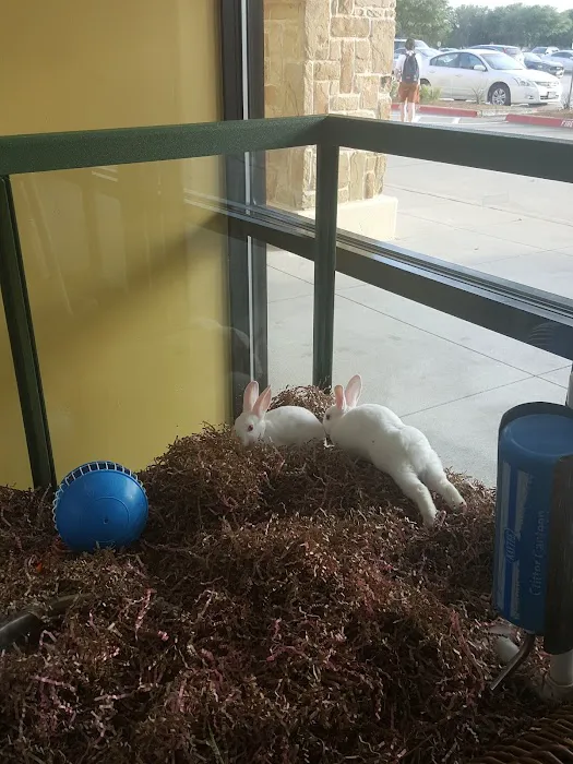 Petland Frisco Picture 1