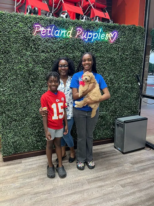 Petland Frisco Picture 5