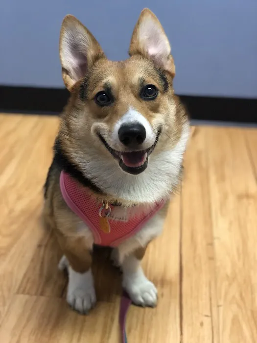 Crofton Veterinary Center Picture 2