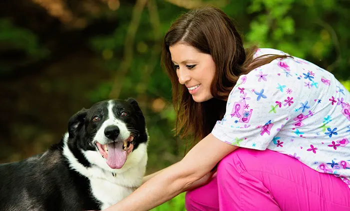 Crofton Veterinary Center Picture 1