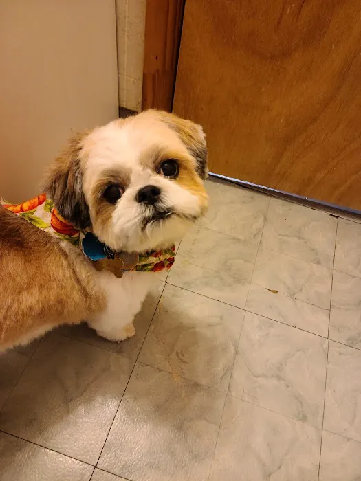 Crofton Veterinary Center Picture 4