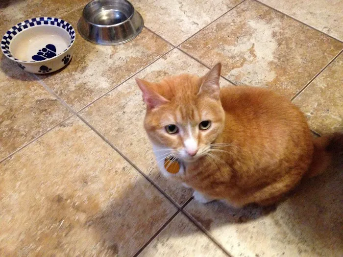 Crofton Veterinary Center Picture 10