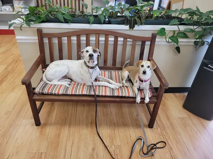 Crofton Veterinary Center Picture 9