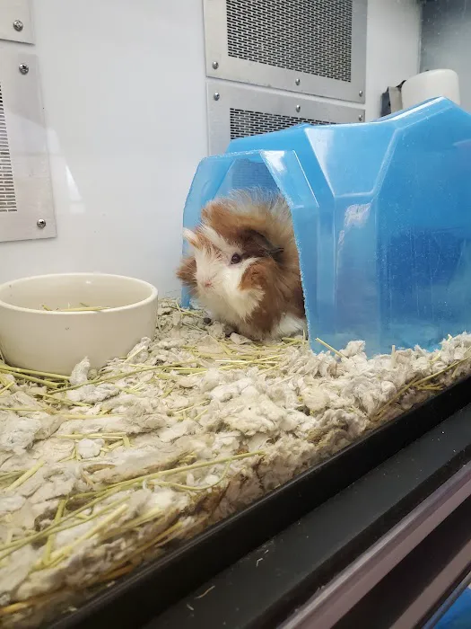 Petco Picture 1