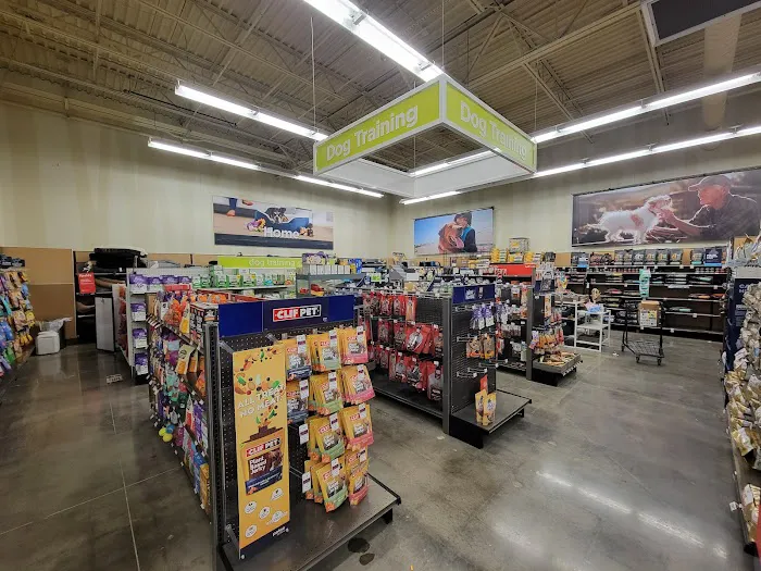 Petco Picture 3