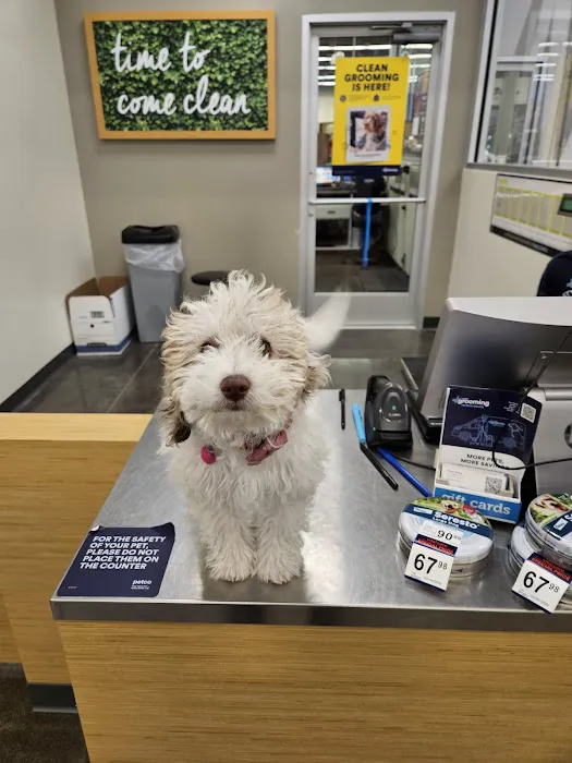 Petco Picture 5