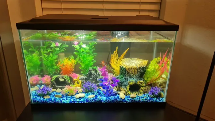 Petco Picture 7
