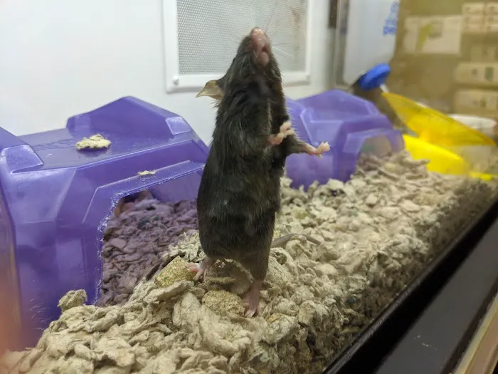 Petco Picture 9