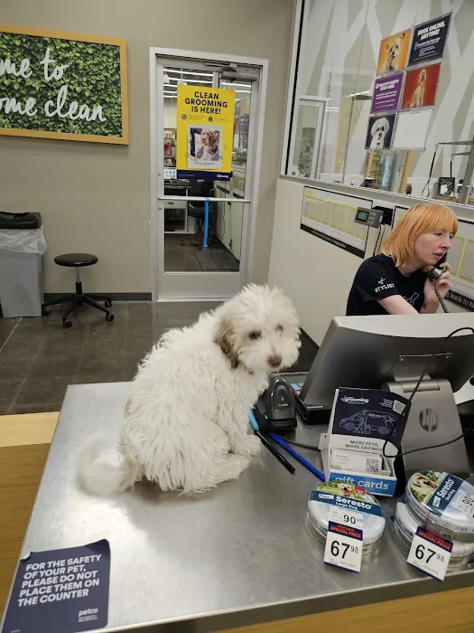 Petco Picture 8
