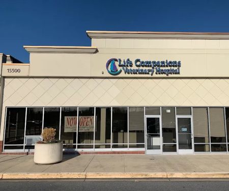Life Companions Veterinary Hospital