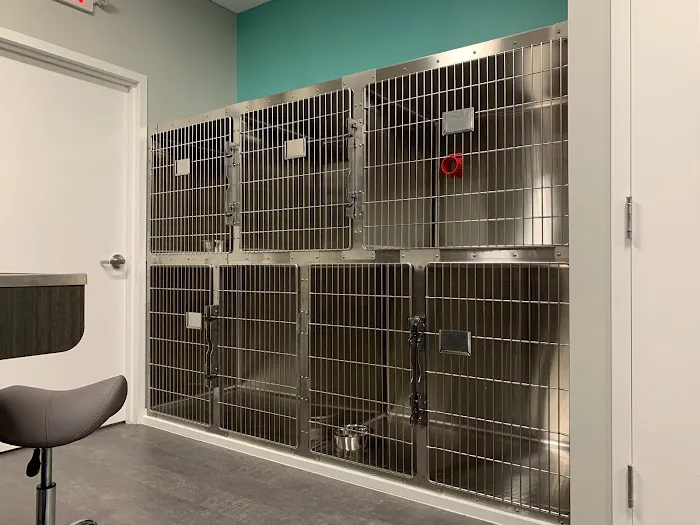 Life Companions Veterinary Hospital Picture 7
