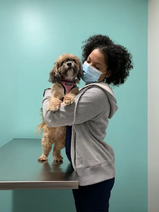 Life Companions Veterinary Hospital Picture 8