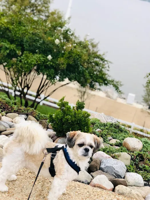 Life Companions Veterinary Hospital Picture 10
