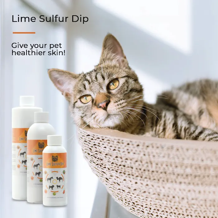 Healthy Paw Life Picture 3