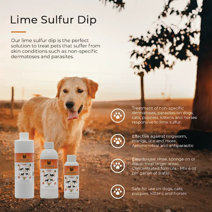 Healthy Paw Life Picture 2