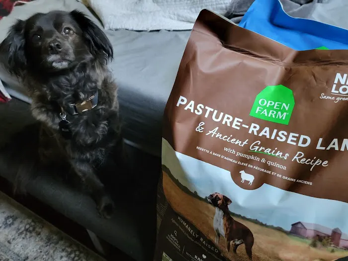 The Merry Dog Holistics & Nutrition Picture 10