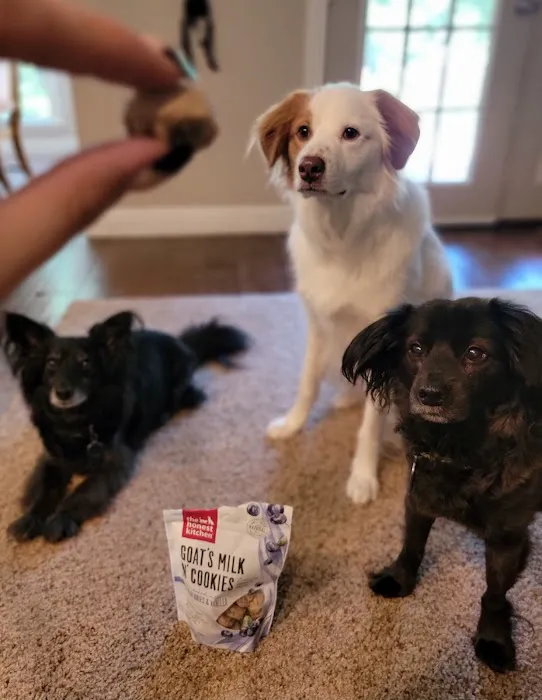 The Merry Dog Holistics & Nutrition Picture 9