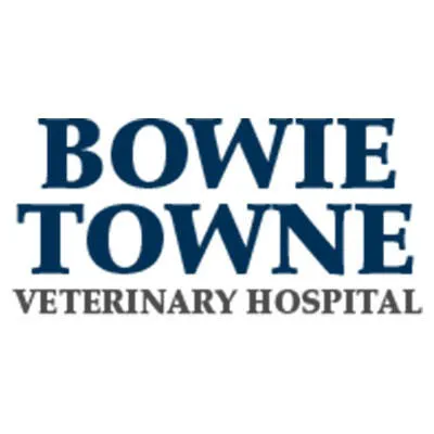 Bowie Towne Veterinary Hospital Picture 7
