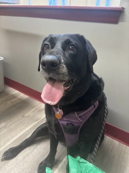 Prime Care Animal Hospital Picture 3