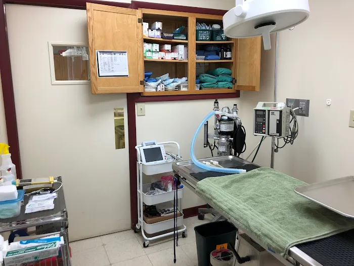 Prime Care Animal Hospital Picture 6