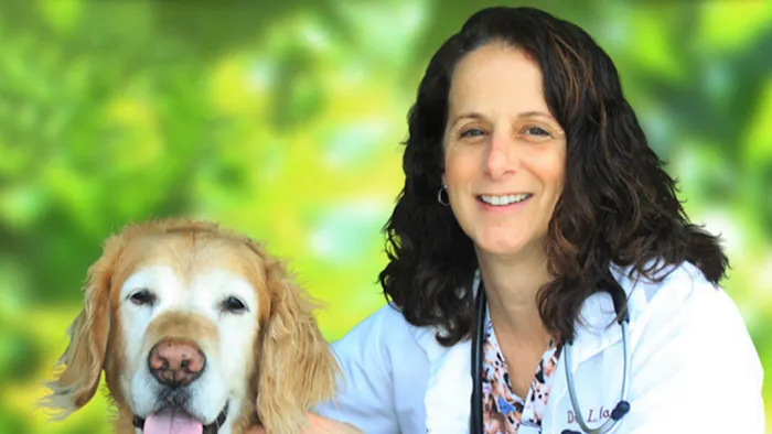 Prime Care Animal Hospital Picture 7