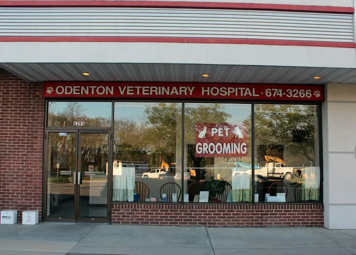 Odenton Veterinary Hospital Picture 7