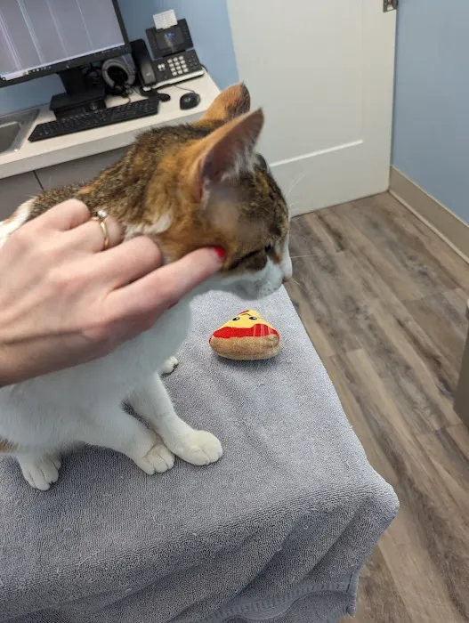 Odenton Veterinary Hospital Picture 1