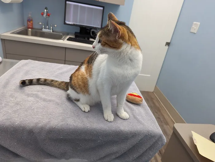 Odenton Veterinary Hospital Picture 8