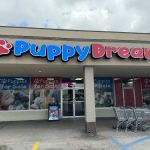 Puppy Dreams - Denton