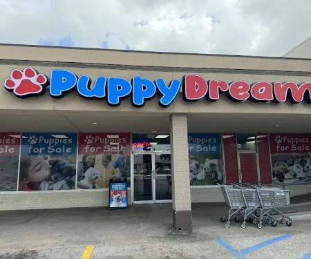 Puppy Dreams - Denton