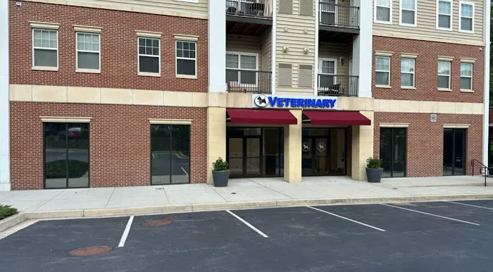 Great Scottie Veterinary Clinic Picture 6
