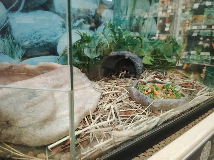 Petco Picture 8