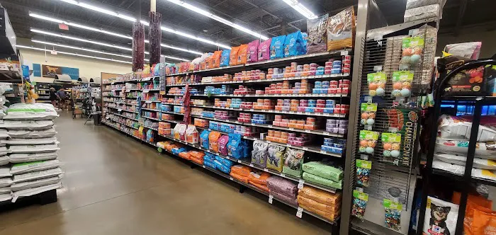 Petco Picture 5