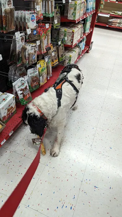 Petco Picture 10