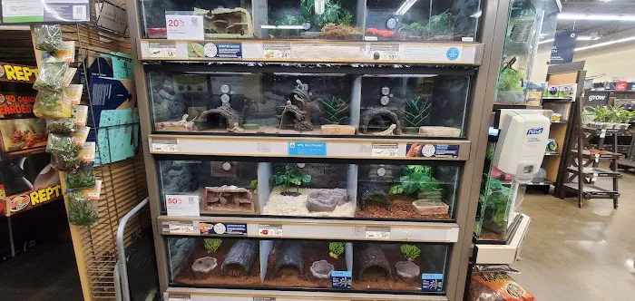 Petco Picture 4