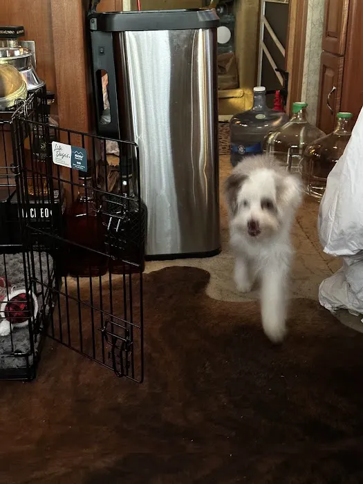 Petco Picture 2