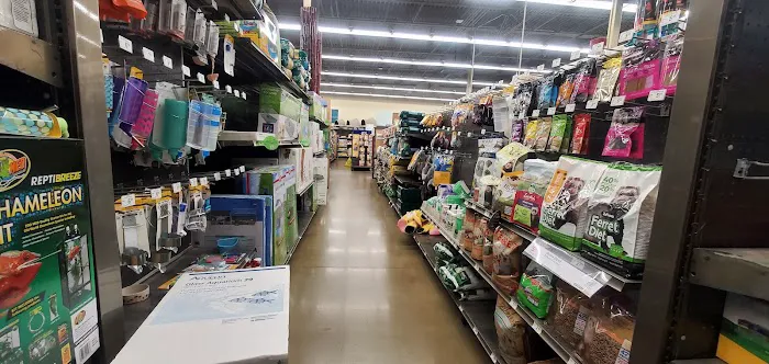 Petco Picture 1