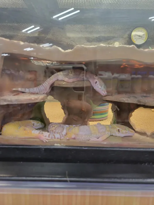 Petco Picture 1