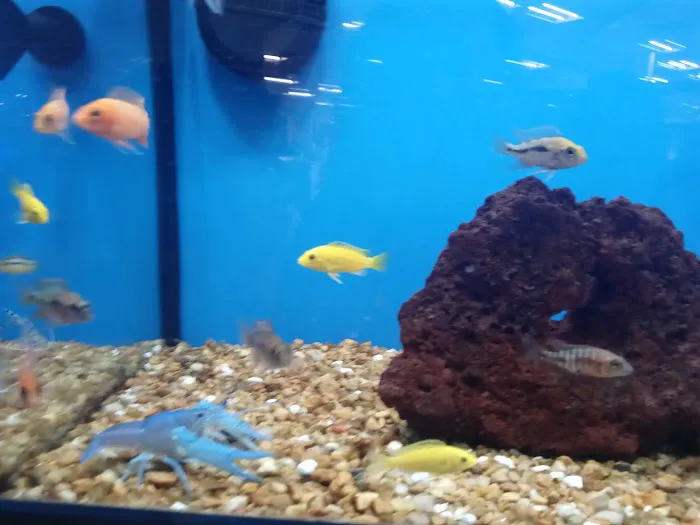 Petco Picture 10