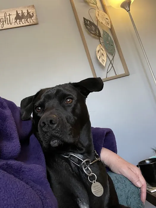Banfield Pet Hospital Picture 6