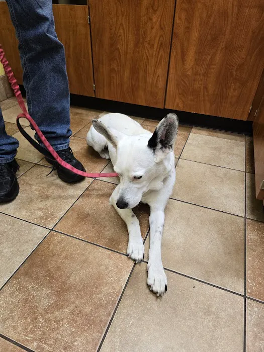 Banfield Pet Hospital Picture 2