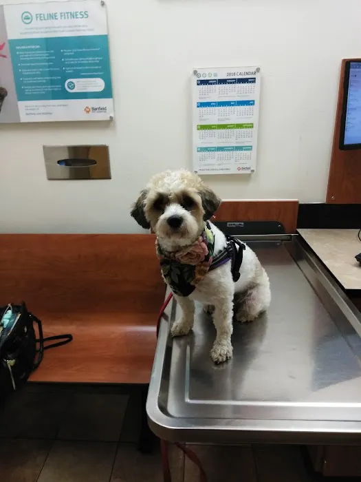 Banfield Pet Hospital Picture 5
