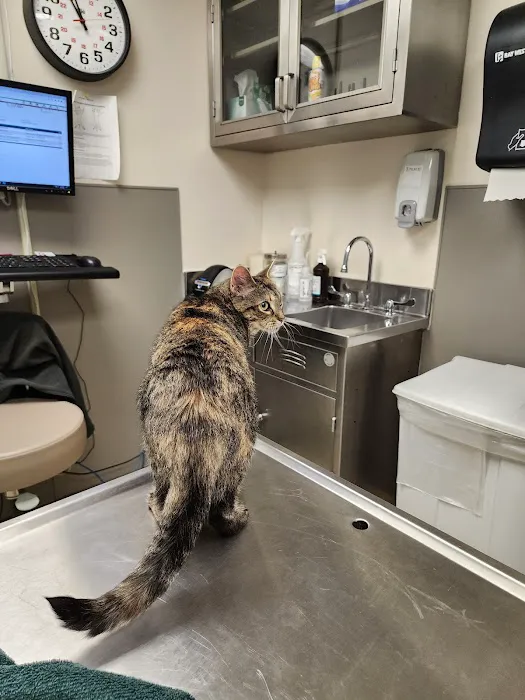 Fort Meade Veterinary Treatment Facility Picture 4