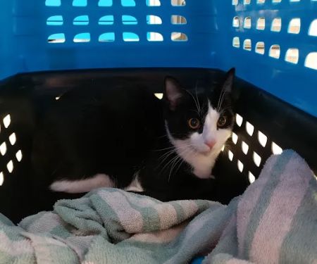 Fort Meade Veterinary Treatment Facility