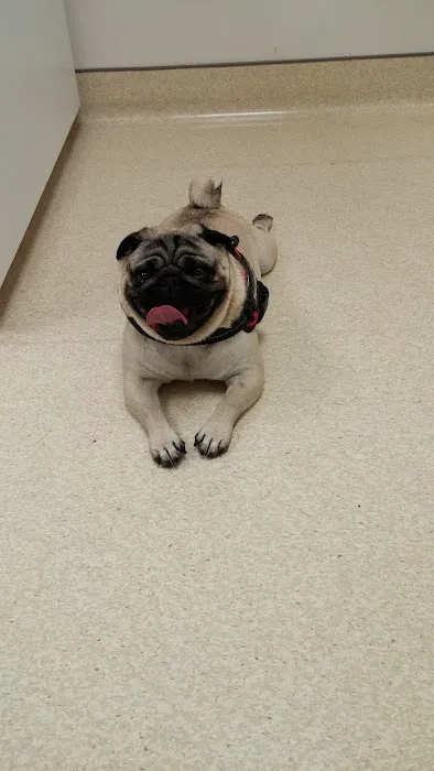 Fort Meade Veterinary Treatment Facility Picture 9