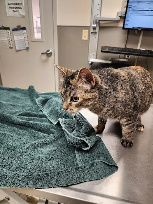 Fort Meade Veterinary Treatment Facility Picture 5